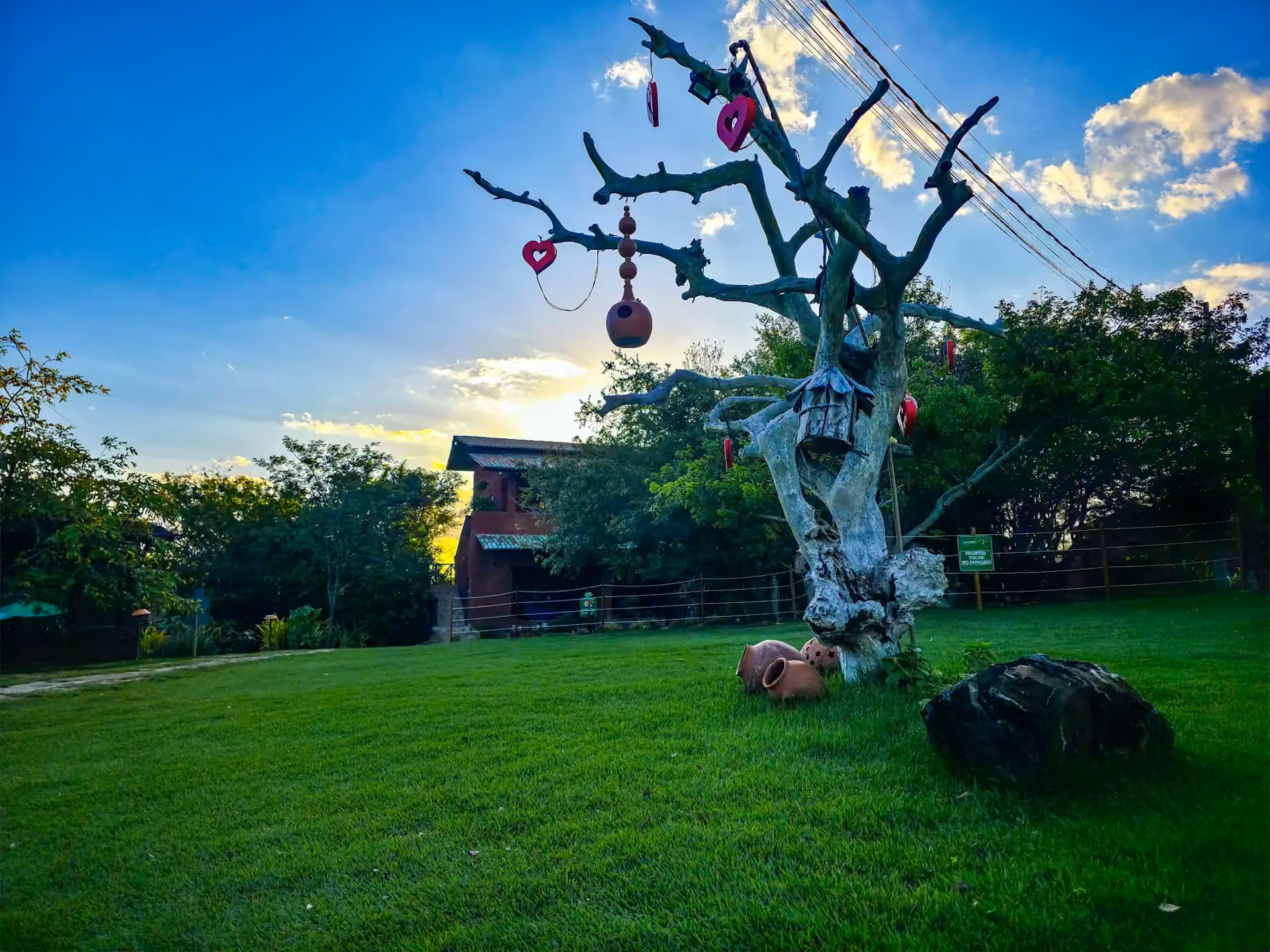 Gramado da pousada com árvore enfeitada diante do Rio São Francisco