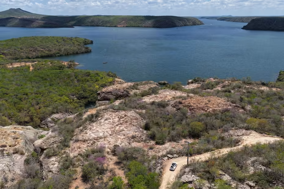 Caatinga sobre as pedras, à beira do Rio São Francisco